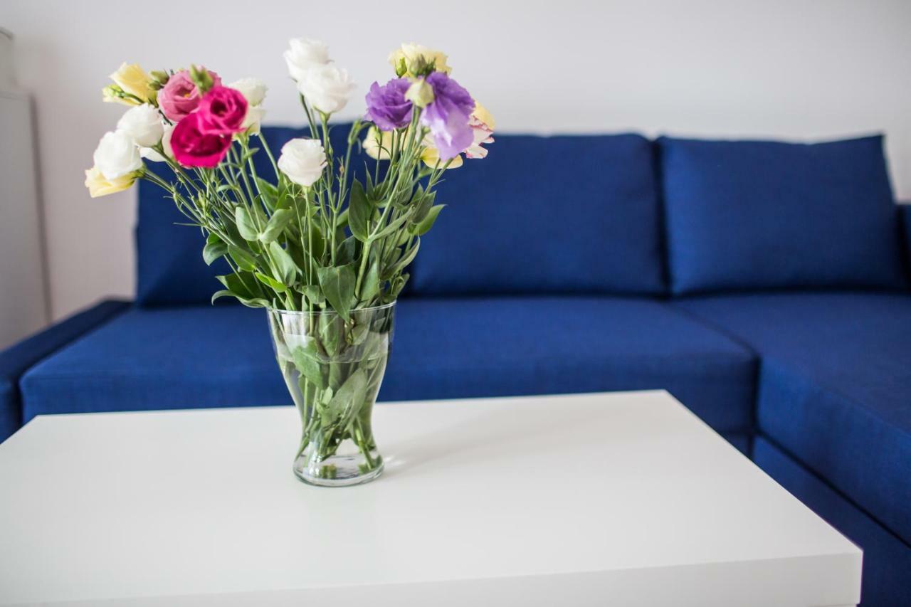 Apartament Pod Winogronami クラクフ エクステリア 写真