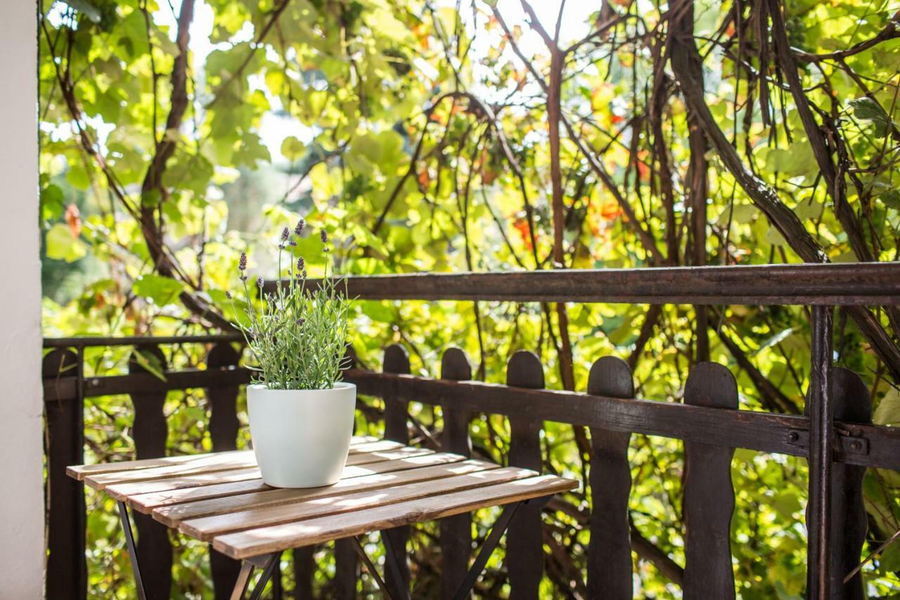 Apartament Pod Winogronami クラクフ エクステリア 写真